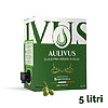 olio extravergine oliva siciliano 5 litri