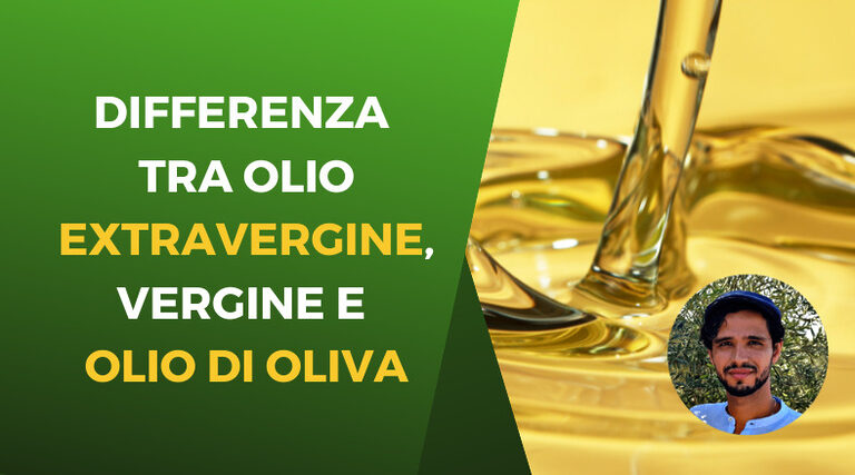 Differenza tra Olio Extravergine e Olio di Oliva